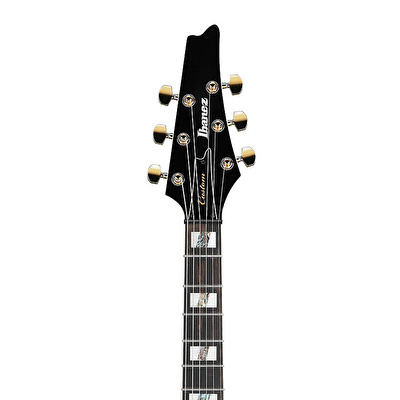 Ibanez FRM350-BK Paul Gilbert Signature Fireman Siyah Elektro Gitar